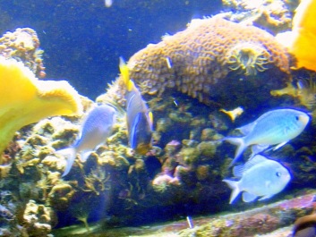 photo 494501