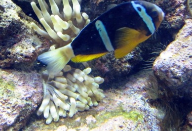 photo 495347