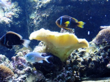 photo 496364