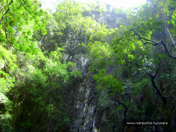 photo 985632