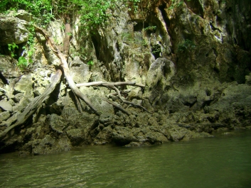 photo 964801