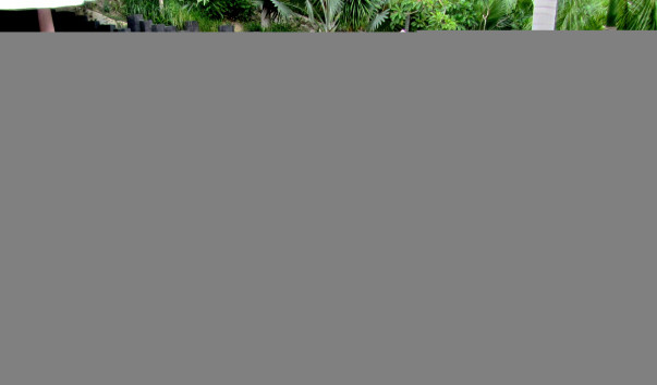 IMG_0169 modified -