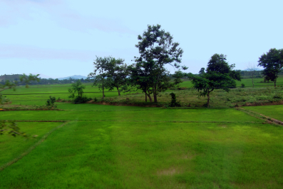 photo 1234560