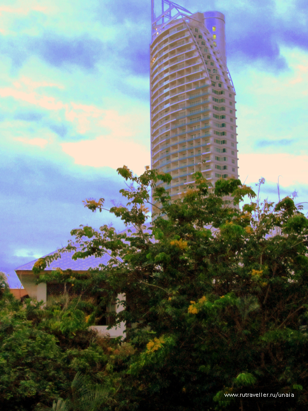 photo 1435389