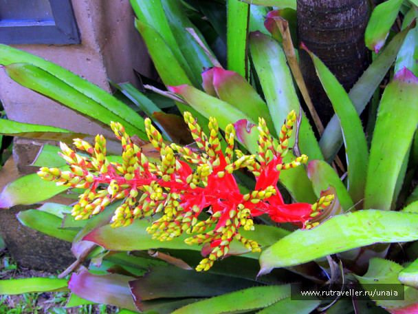 photo 1435744