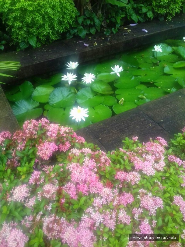 photo 1437158