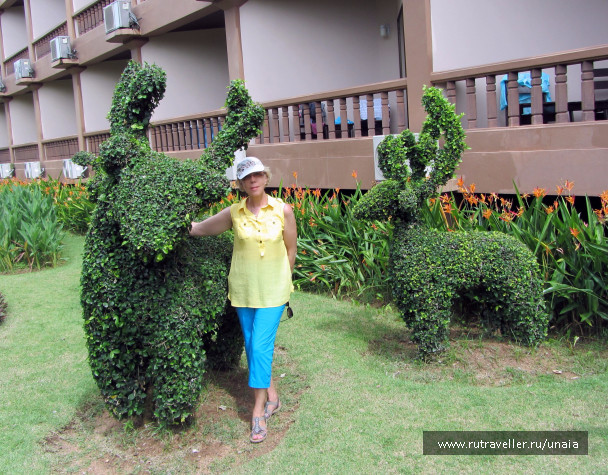 photo 1437161