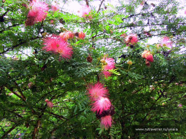 photo 1437165