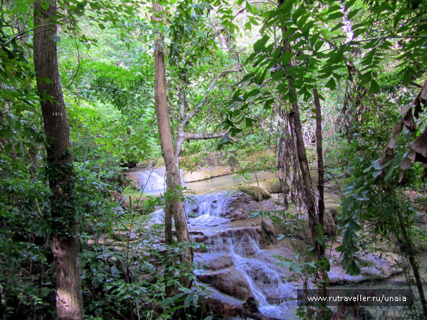 photo 1437584
