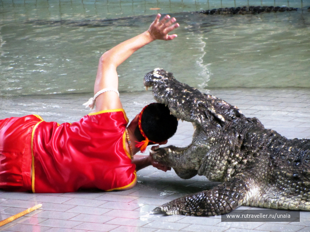 photo 1563181