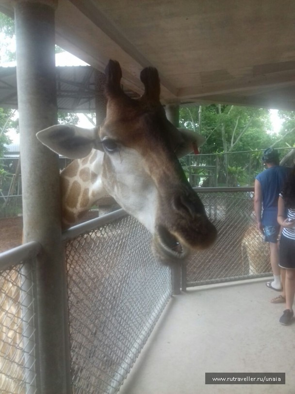 photo 1563802
