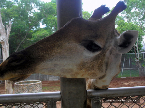 photo 1564099