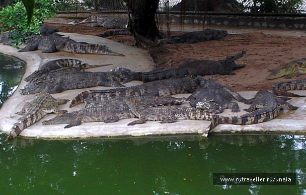 photo 1564330
