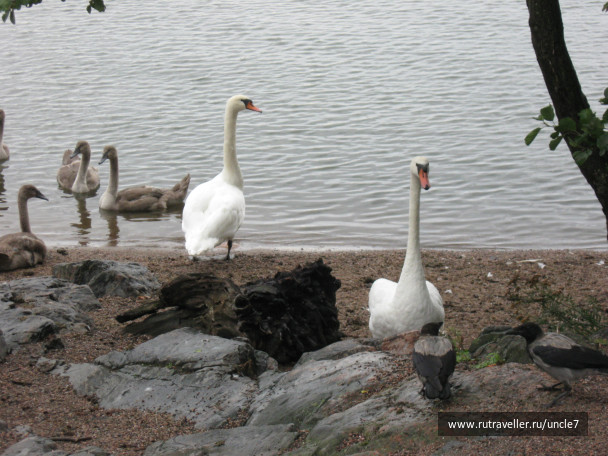photo 46171