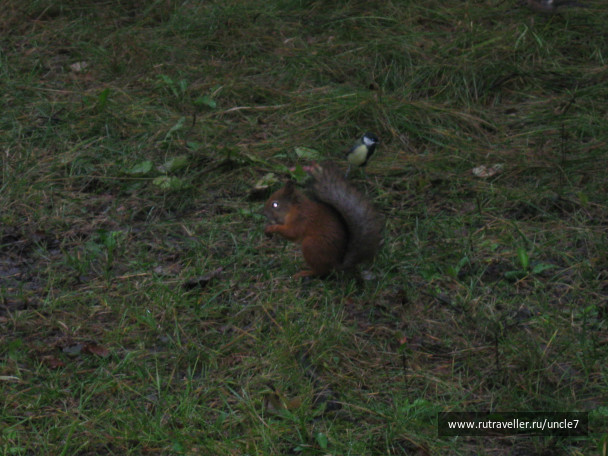 photo 46173