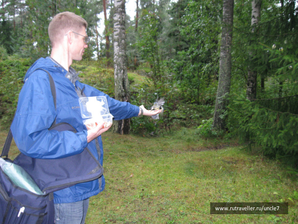 photo 46174