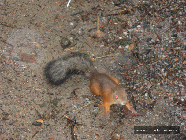 photo 46175