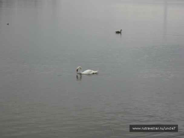 photo 46176