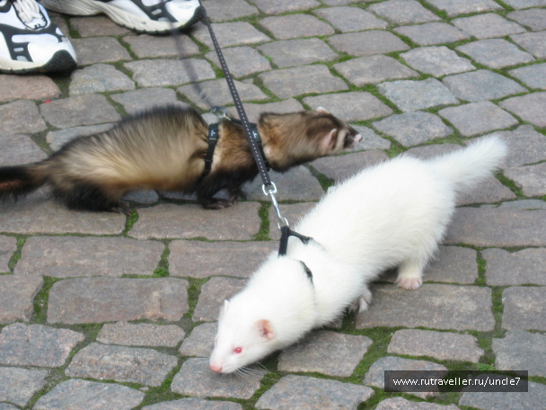 photo 46177