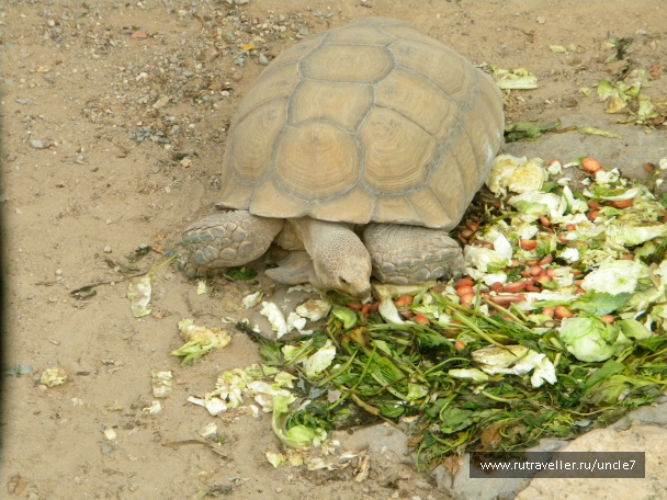 photo 46225