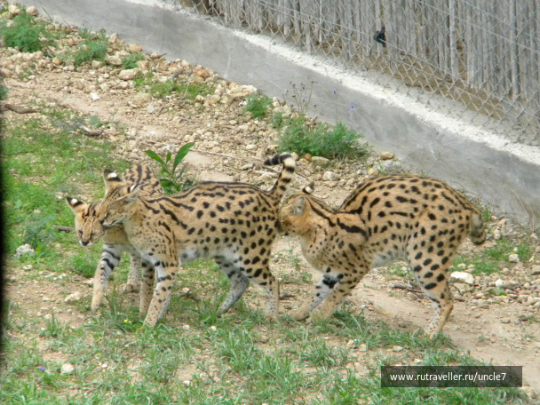 photo 46226