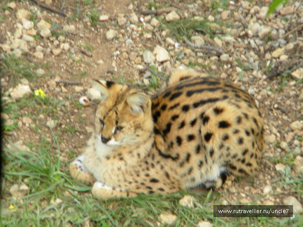 photo 46228