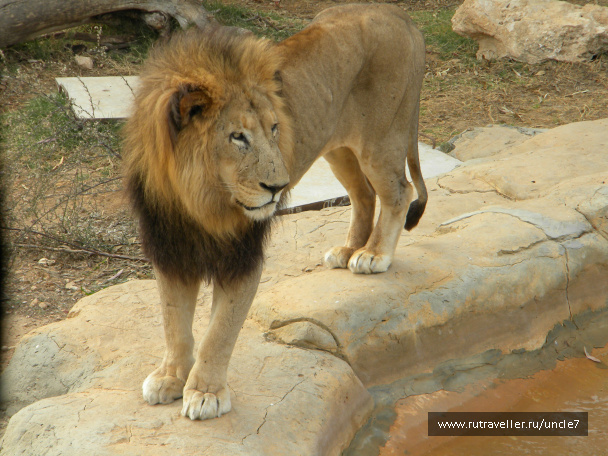 photo 46230