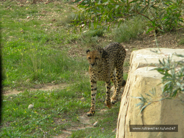 photo 46231