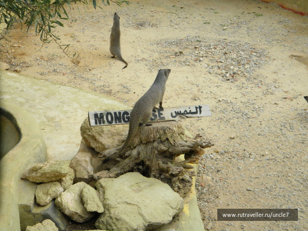 photo 46232