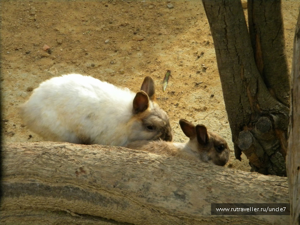 photo 46233