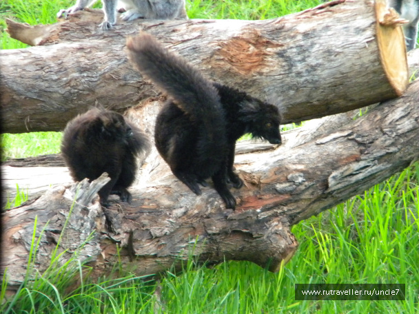photo 46236