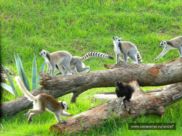 photo 46237