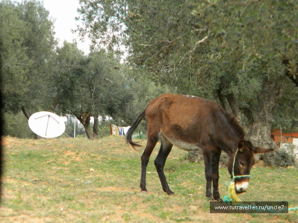 photo 46238