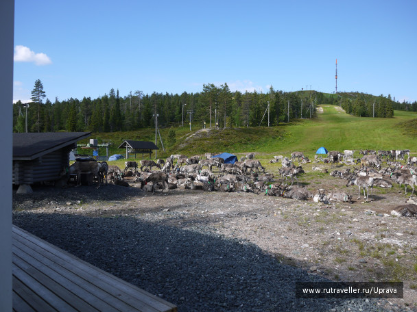 photo 1140511