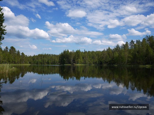 photo 1177026