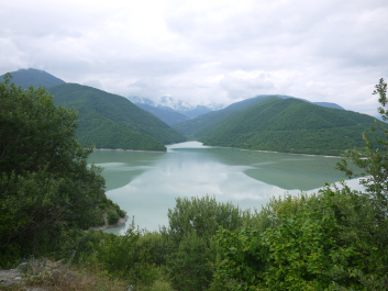 photo 1523561