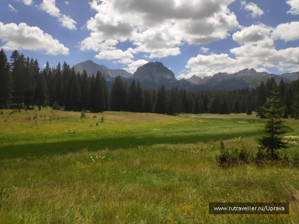 photo 1795661
