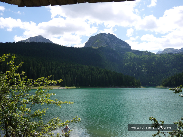 photo 1795668