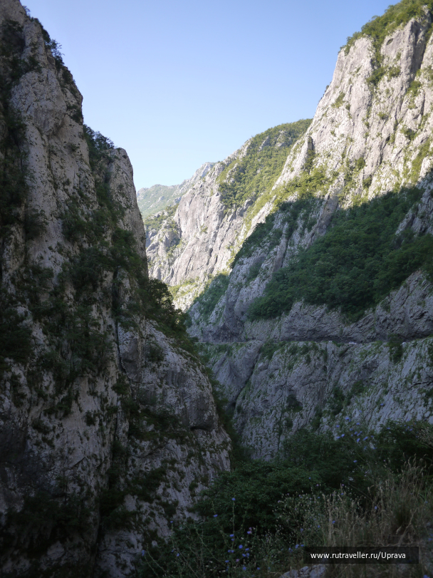 photo 1795673