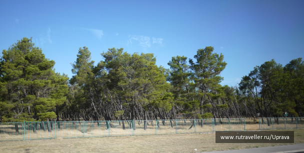 photo 1795674