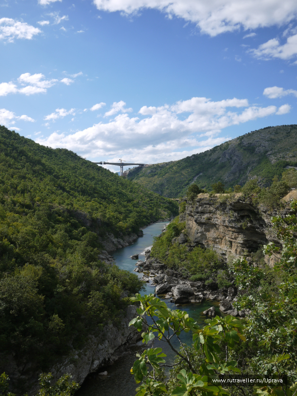 photo 1795675