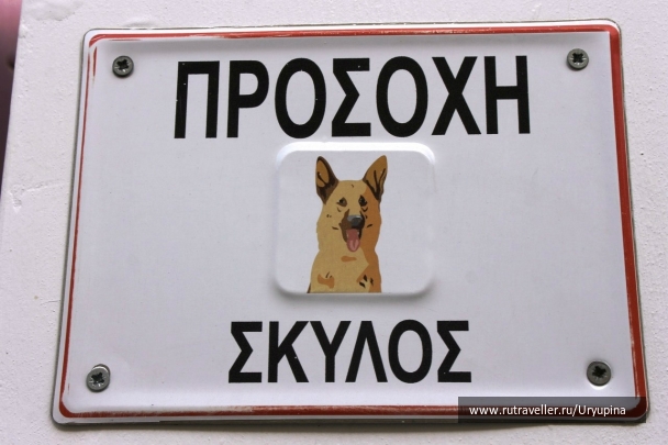 photo 890712