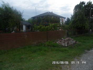 photo 1353253