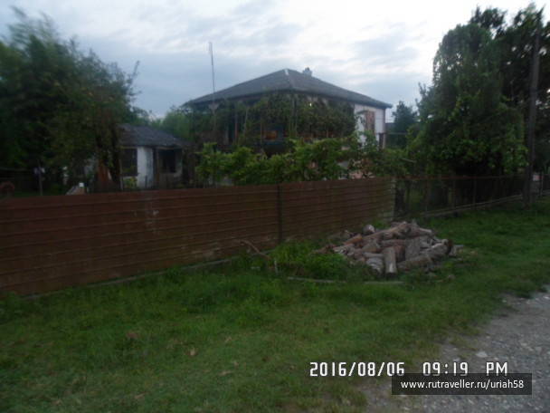 photo 1353253