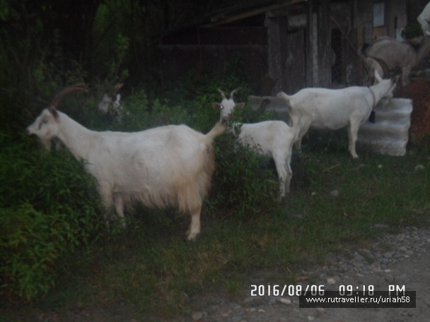 photo 1353254
