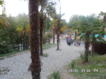 photo 1353263