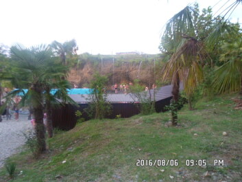 photo 1353264