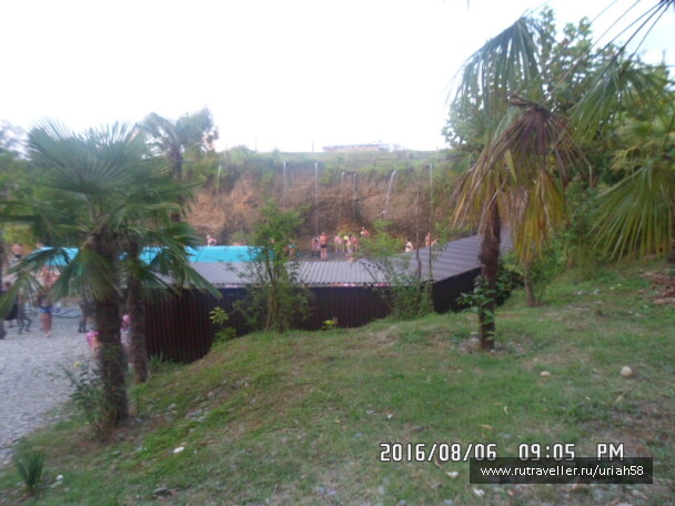 photo 1353264