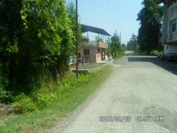 photo 1353266