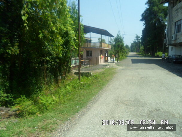 photo 1353266